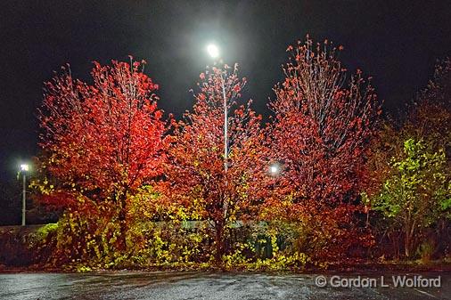 Autumn Streetlights_18205-10.jpg - Photographed at Smiths Falls, Ontario, Canada.
